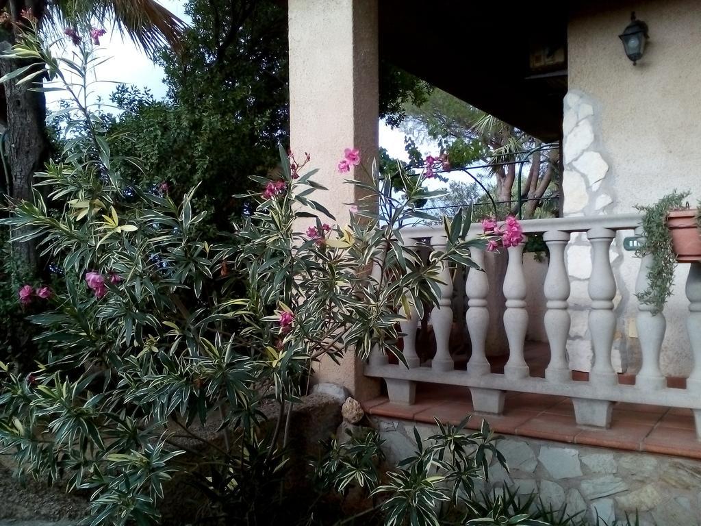 B&B Il Vigneto Capoterra Exterior foto