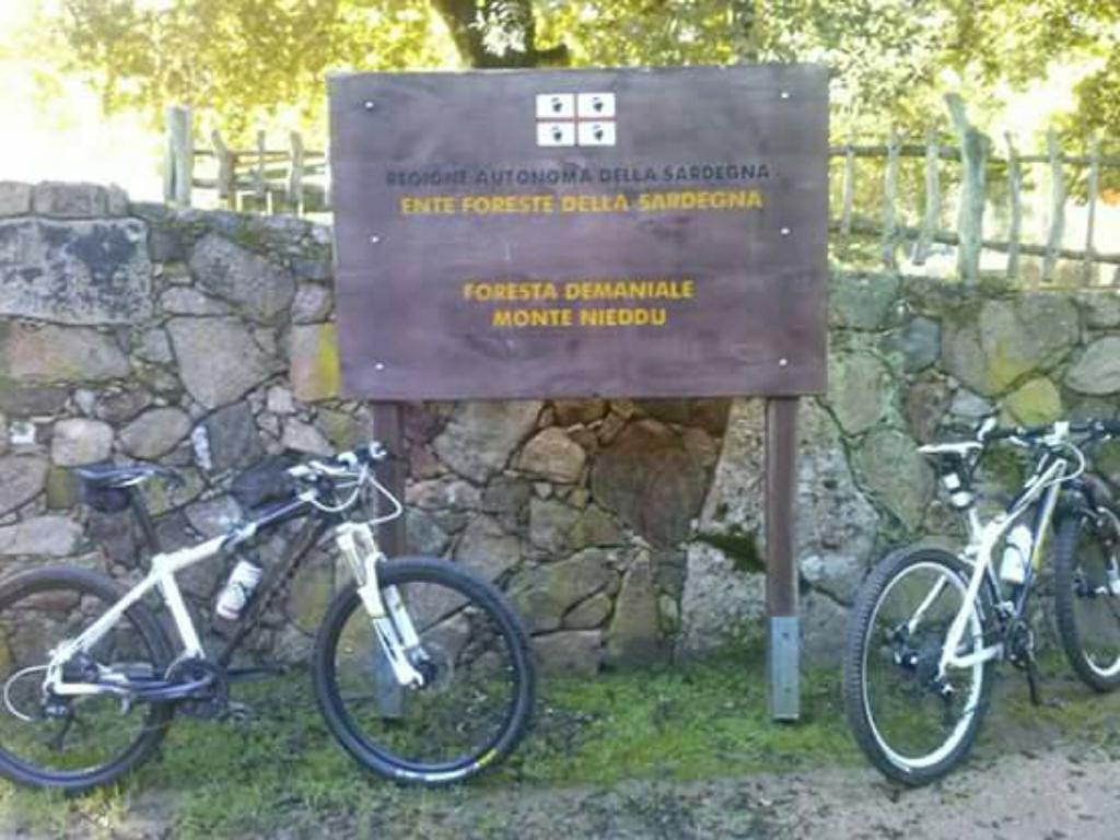 B&B Il Vigneto Capoterra Exterior foto